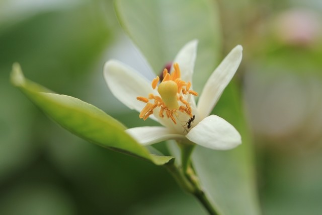 1%20er%20mai%202014%20640p%200010