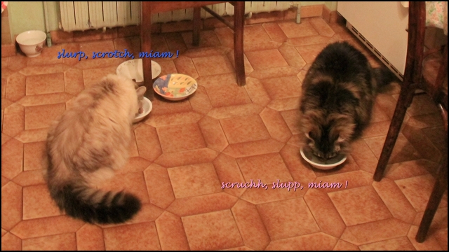 Mistigrette%20vs%20Mistral14