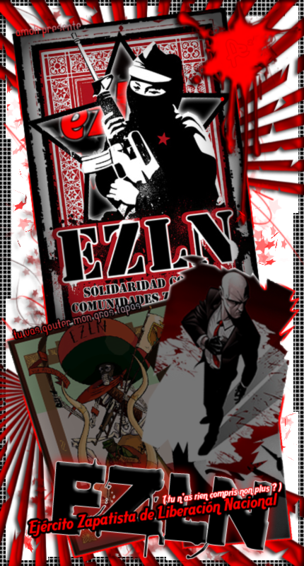 FICHE EZLN copie