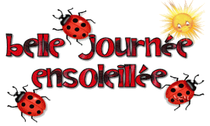 Belle journ&eacute;e ensoleill&eacute;e - Coccinelles Soleil
