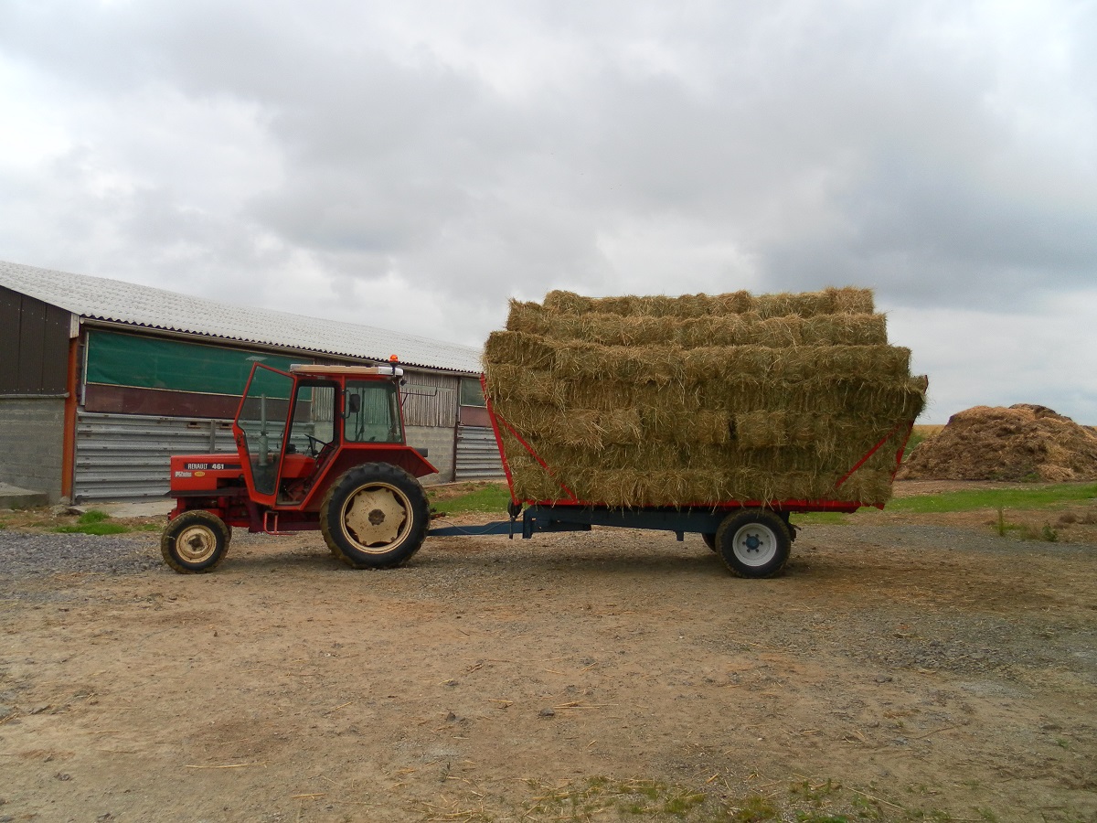 renault 461 14061610073015196712323081