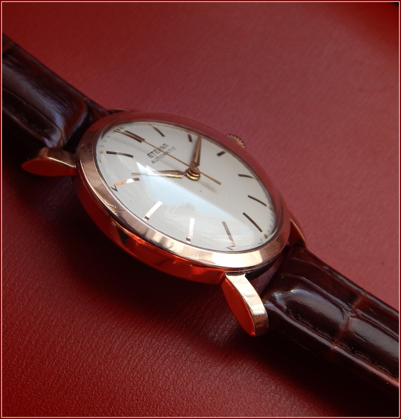 Eterna - Feu de vos Eterna vintage - Page 3 14061711044010805312323758