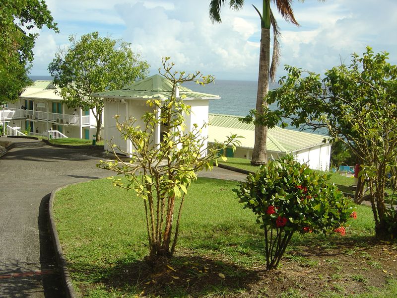 Martinique 2005 - Page 2 1406240950047049612342896