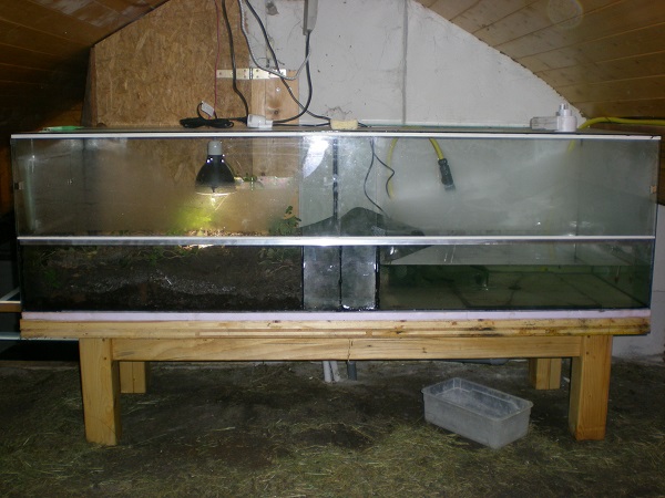 Aquaterrarium01