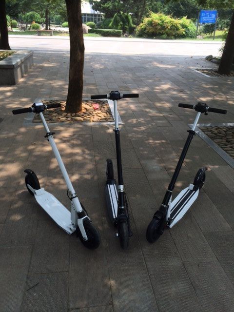 10414498_837839692911135_1749371652459227838_n