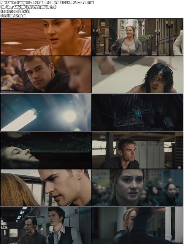 Divergent.2014.RETAIL.1080p.WEB