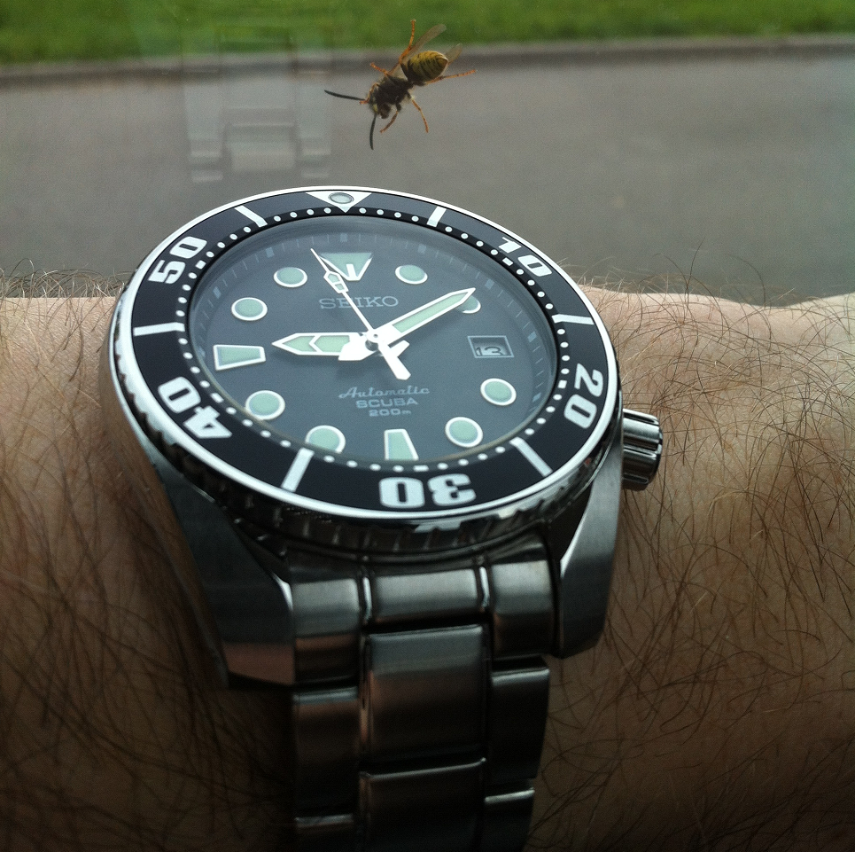 ****** La Seiko du jour - vol.6 ***** - Page 15 1408140248485821012452267