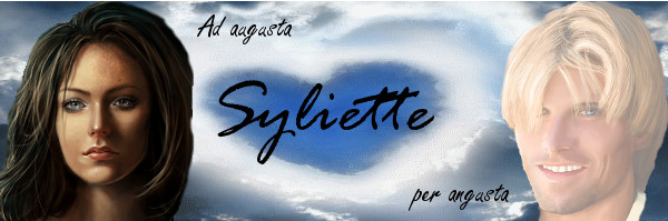 Bannière Syliette_1