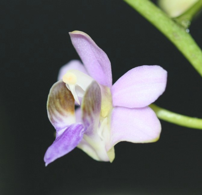 dtpscoe2 [R&eacute;solution de l'&eacute;cran]