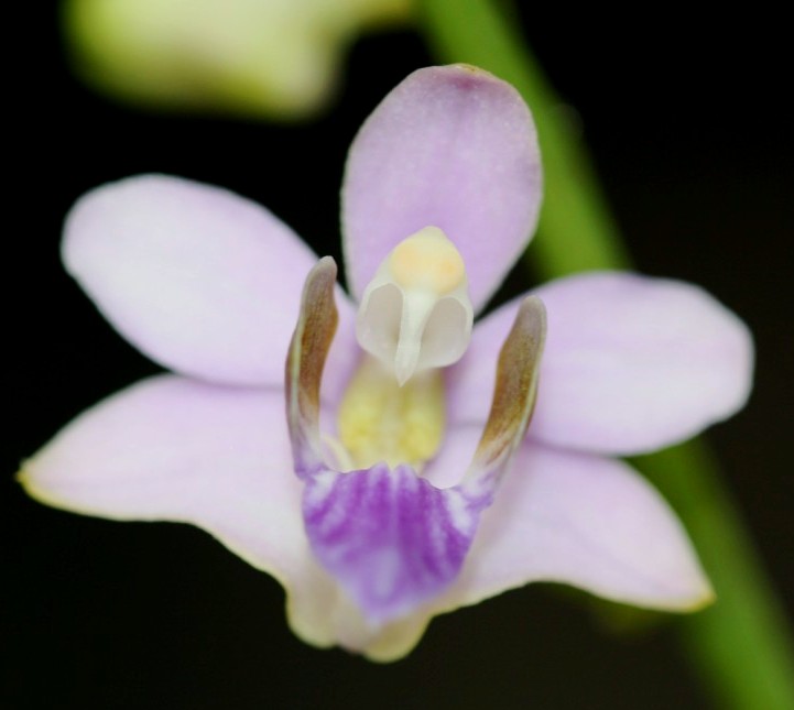 dtpscoe 3[R&eacute;solution de l'&eacute;cran]