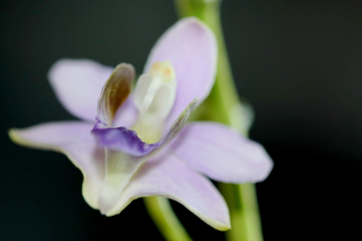 dtpscoe 4 [R&eacute;solution de l'&eacute;cran]