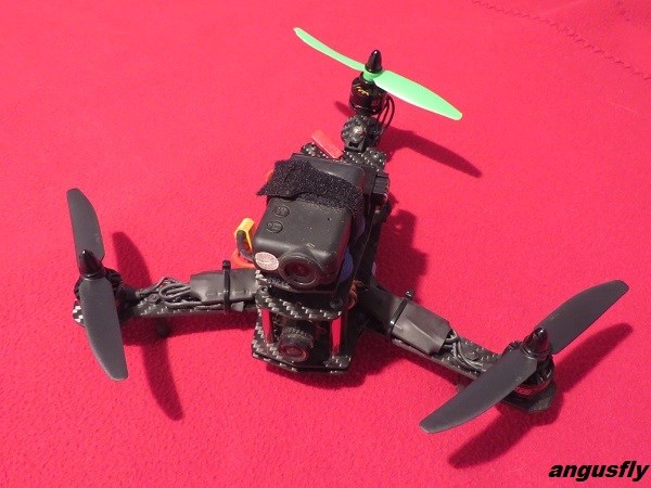 mini tri 2