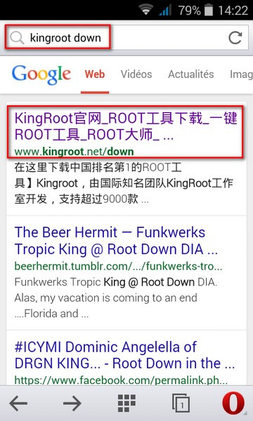 Root-Bloom1