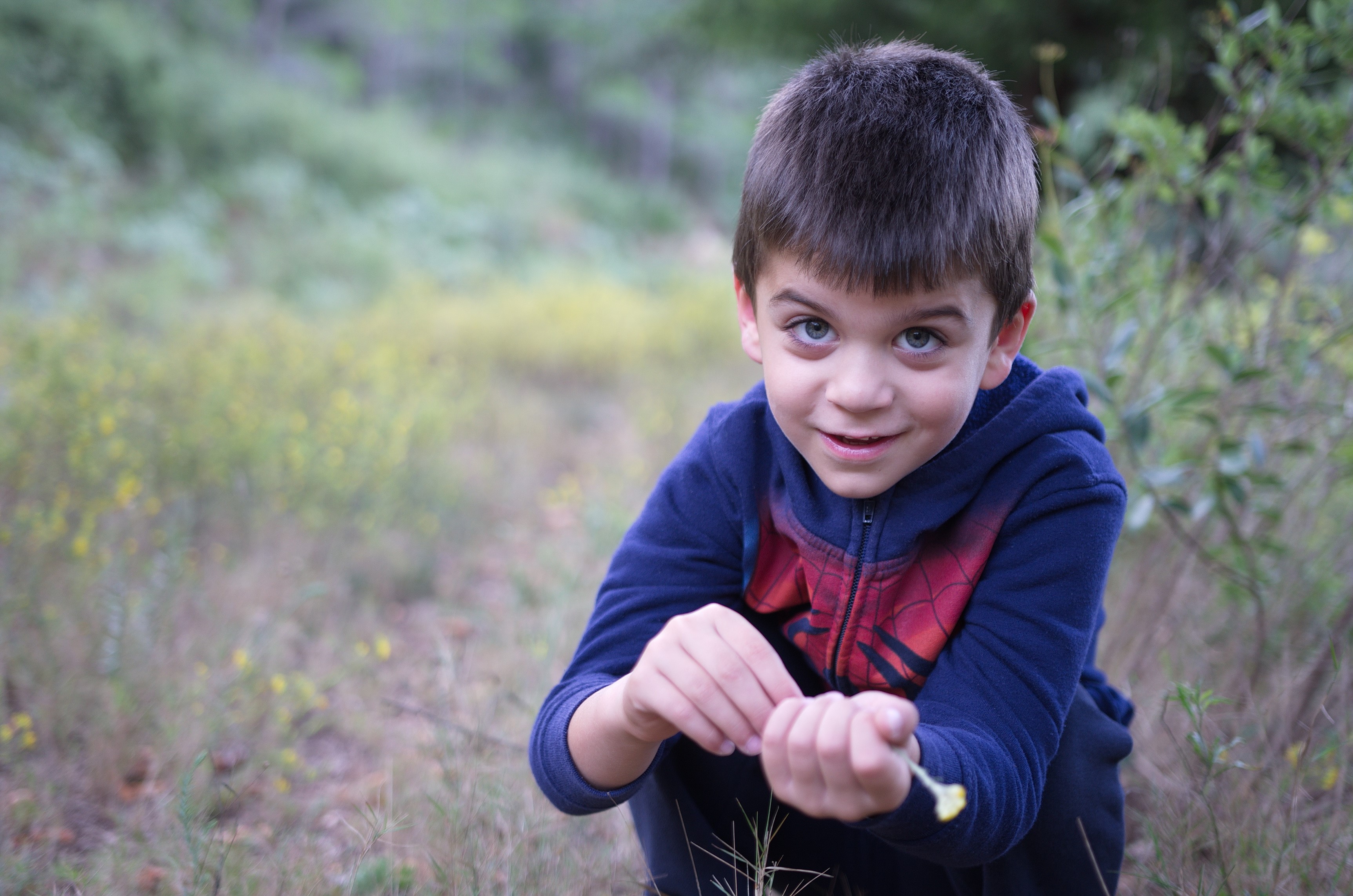 Axel Sigma 18-35 70%