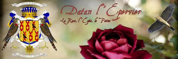 Novembre 1456 - Page 3 14112212133517630712726783