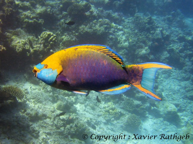 photo 12.6 (1)