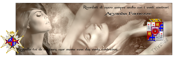 BRUME 1A