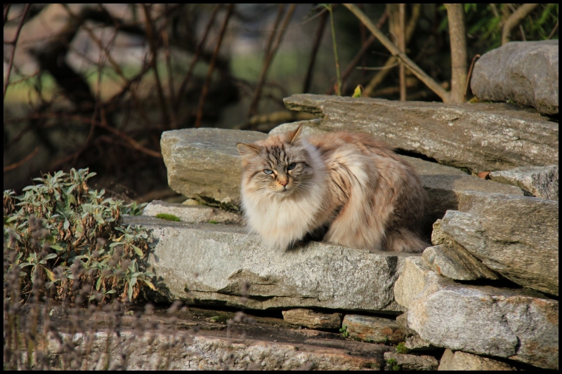 d&eacute;c 2014 Albane 1