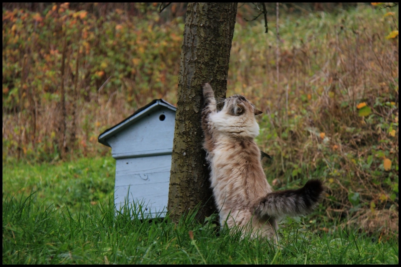 d&eacute;c 2014 Albane 2