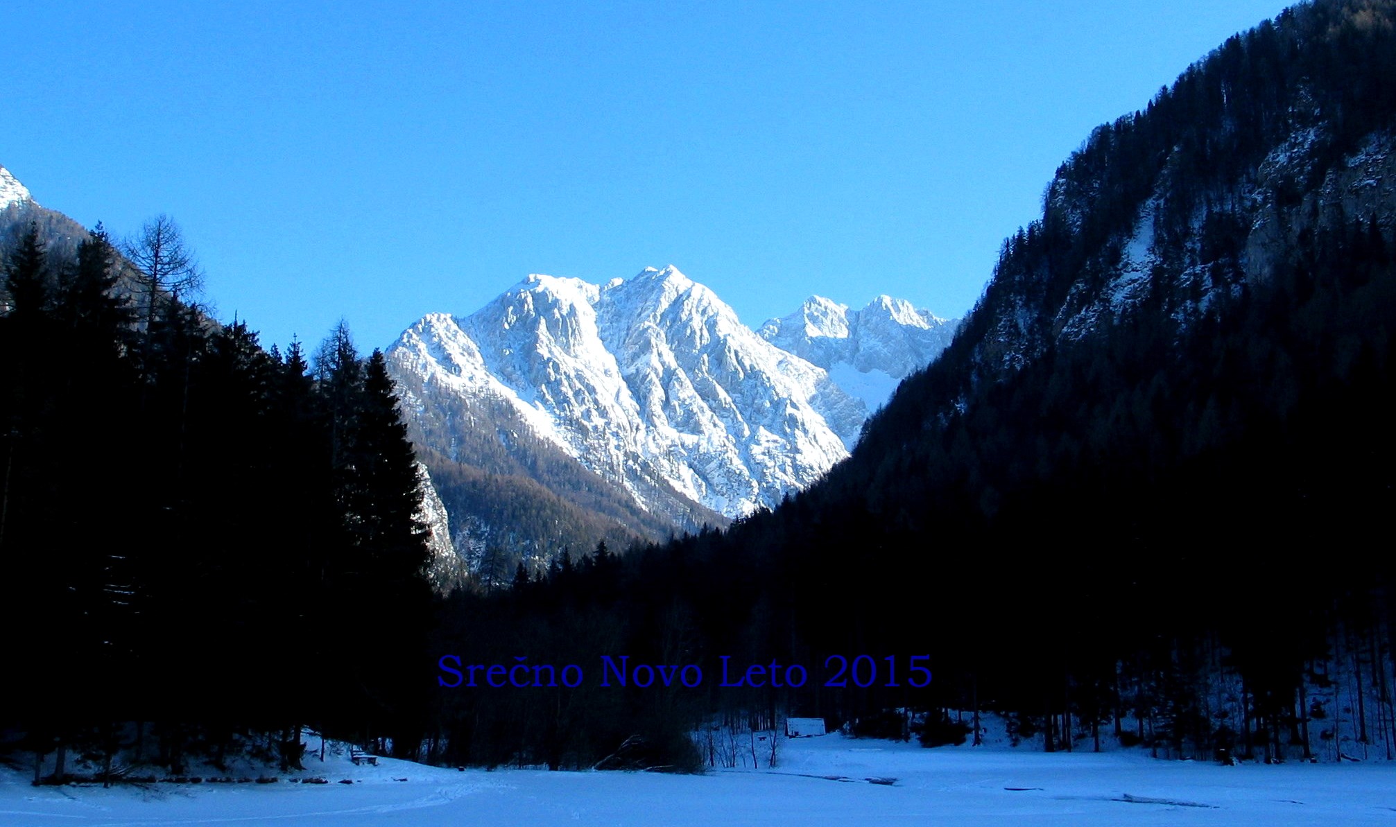 Voeux 2015 Slovène