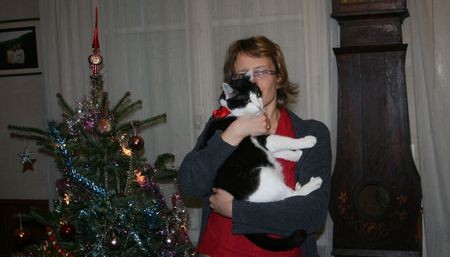 Jeckel, chat souris noir et blanc, né vers 2009 141226113113202012825892