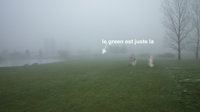 2014 12 23 golf Quetigny (5) - Copie