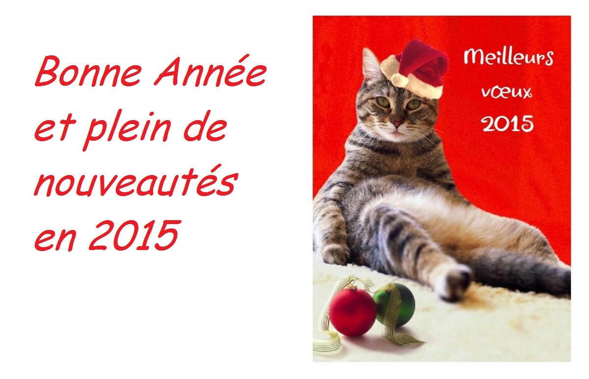 carte-imprimable-voeux-2015-chat-amusant-_nouvelle-annee