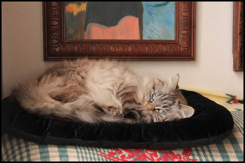 neige janv 2014 0001