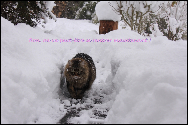 neige janv  b 2014 0004 b