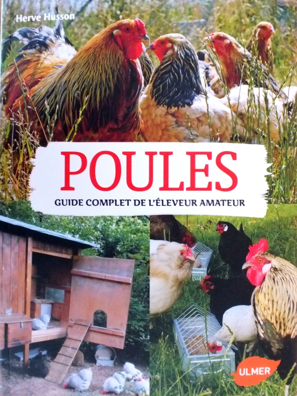 POULES : Guide complet de l'éleveur amateur (ULMER) 15020303393818276712929841