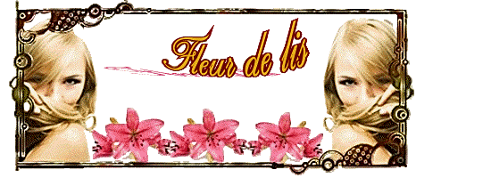 Banni&egrave;re fleur de lis 3 images