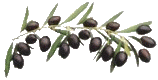 =*Olives noires au sel , en saumure , cuisinées ou achetées 1502120804586491712958652