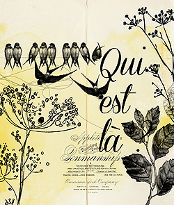 Qui est en ligne ?