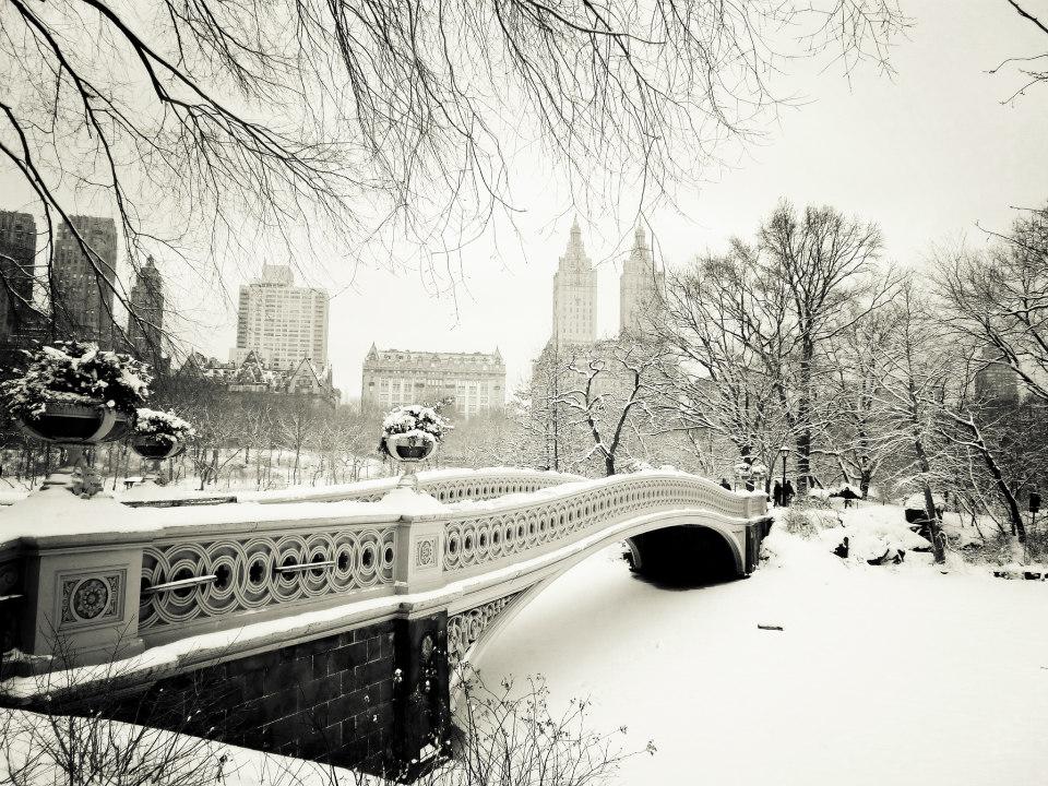 top-10-photos-new-york-sous-neige-L-6iHzXG.