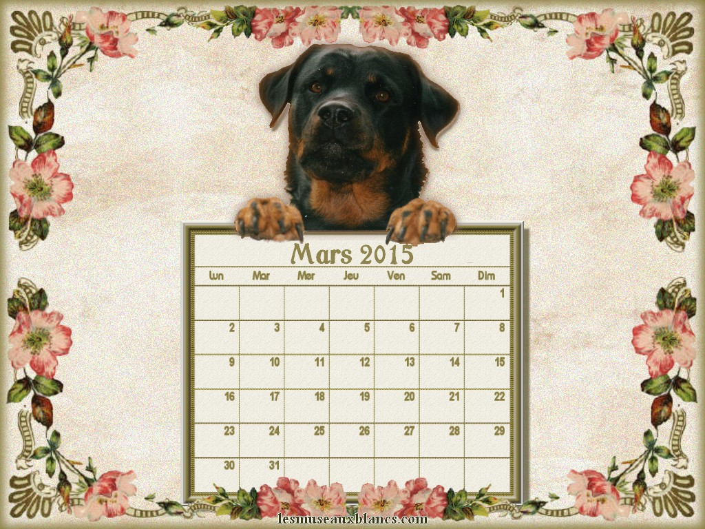 calendrier chien mars 2015