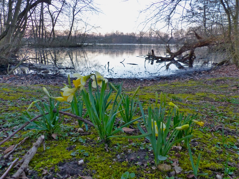 Le printemps est là  150316100809743013077055