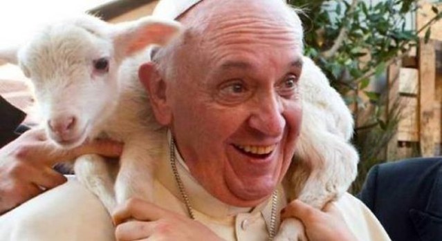 Le pape a dit "" pas de sacrifice d'agneaux à Pâques" 15032601173017808013107278