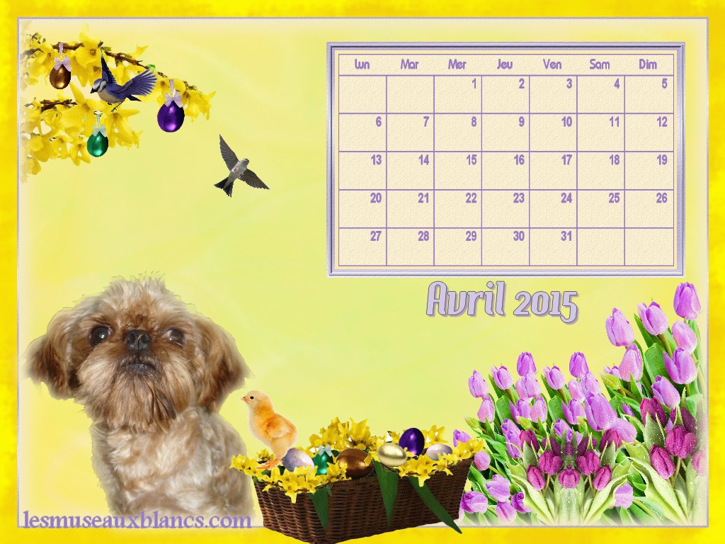 calendrier chien avril 2015