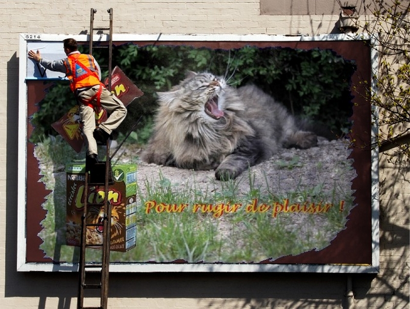 Mistigrette pub lion funia