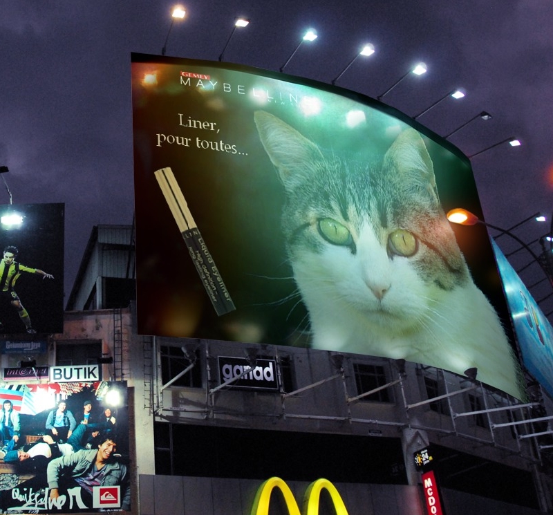 Mistral pub liner gemey funia 1