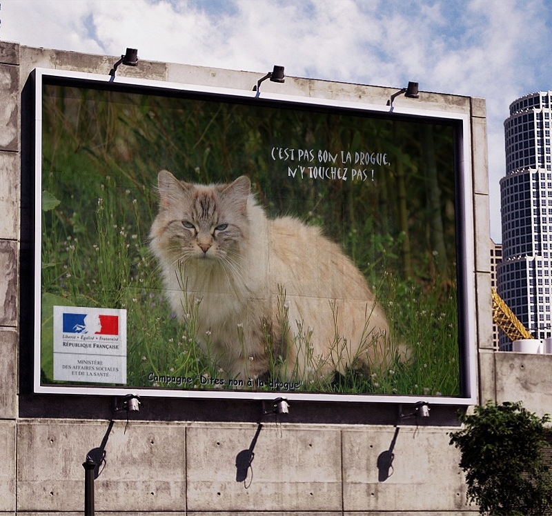 Albane pub non &agrave; la drogue funia 1