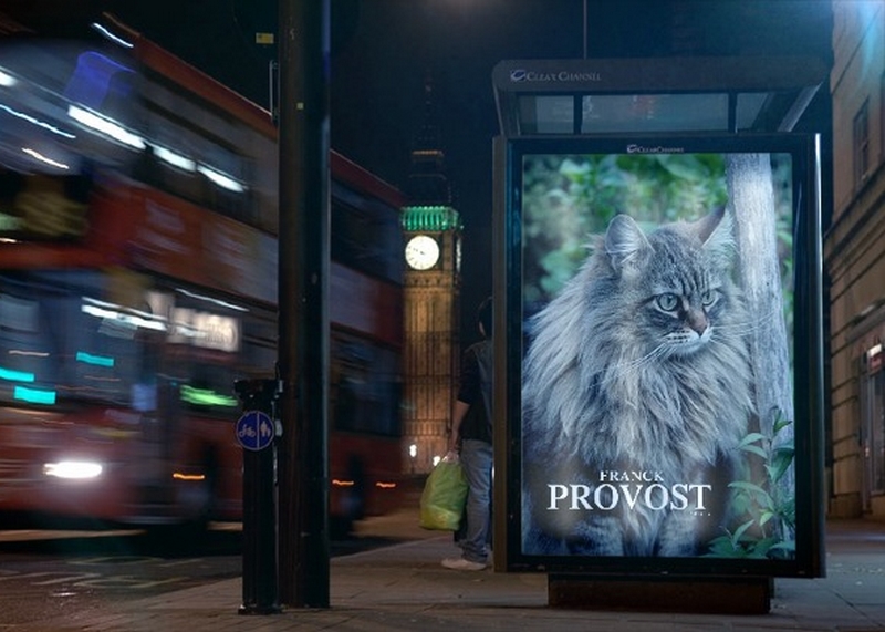 Mistigrette Pub Provost funia