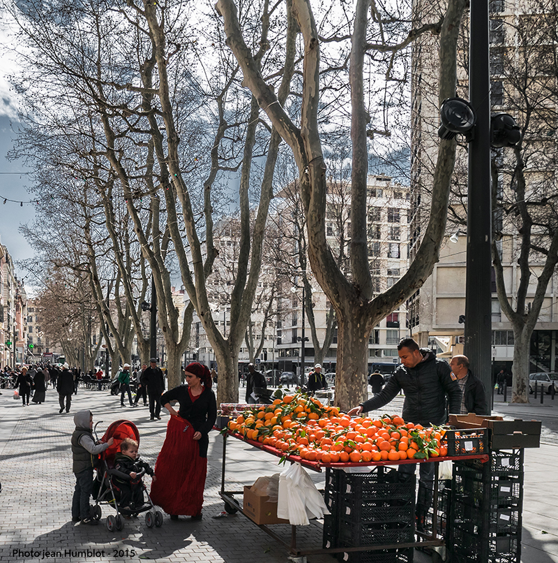 qui veut une orange ? 15050302482319380413230981