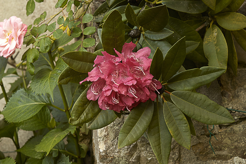 Couleurs r&eacute;elles 2