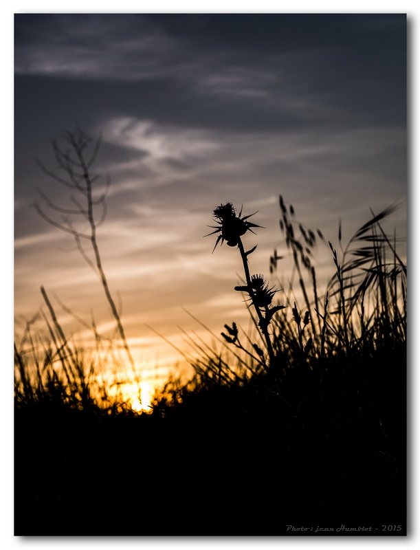 Coucher de soleil sur les champs 15060112332719380413319293