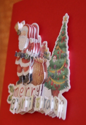 Carte3D - 2015 05 3Dnoel (5)