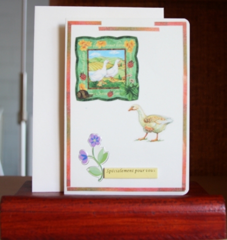 Carte3D - 2015 05 scrapAnnif  (3)