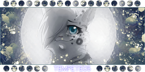Temp&ecirc;te