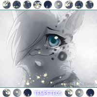 Temp&ecirc;te05