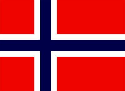 Norwegian Flag small